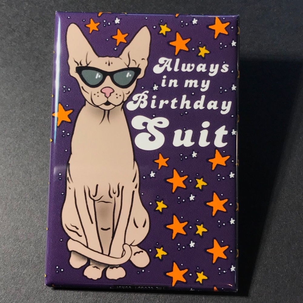 Sphynx Cat Pet Portrait Magnet Funny Birthday Gifts and Handmade Decor